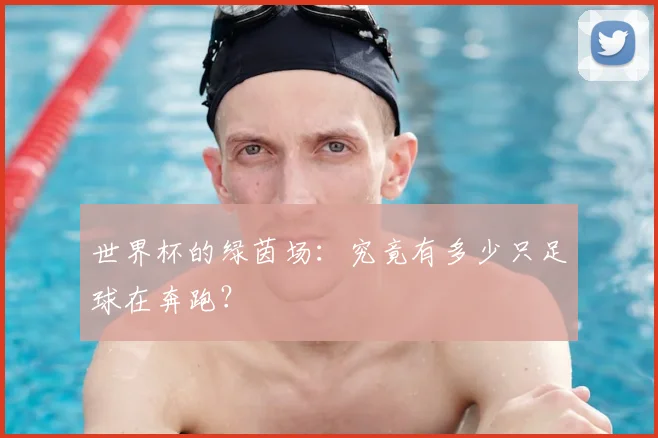 世界杯的绿茵场：究竟有多少只足球在奔跑？
