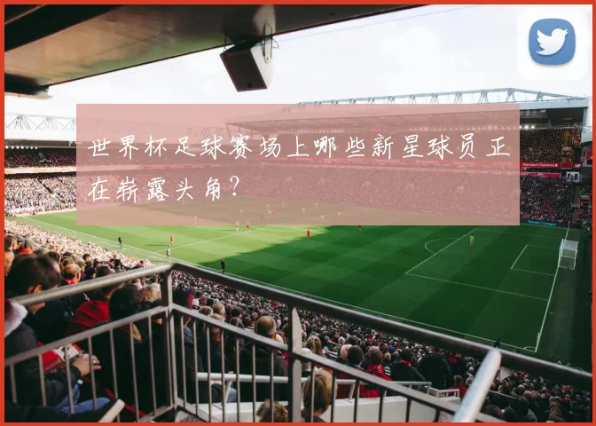 世界杯足球赛场上哪些新星球员正在崭露头角?