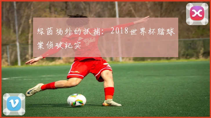 绿茵场外的抓捕：2018世界杯赌球案侦破纪实