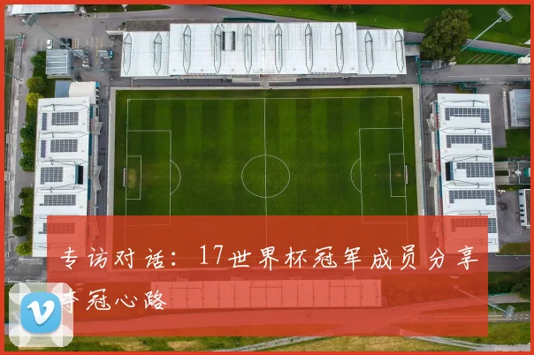 专访对话：17世界杯冠军成员分享夺冠心路