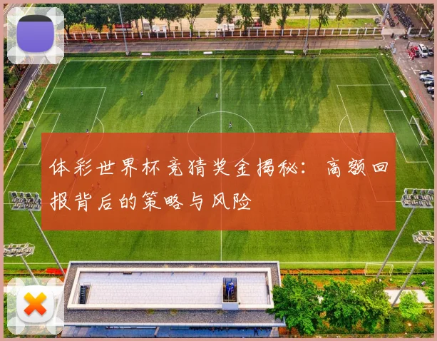 体彩世界杯竞猜奖金揭秘：高额回报背后的策略与风险