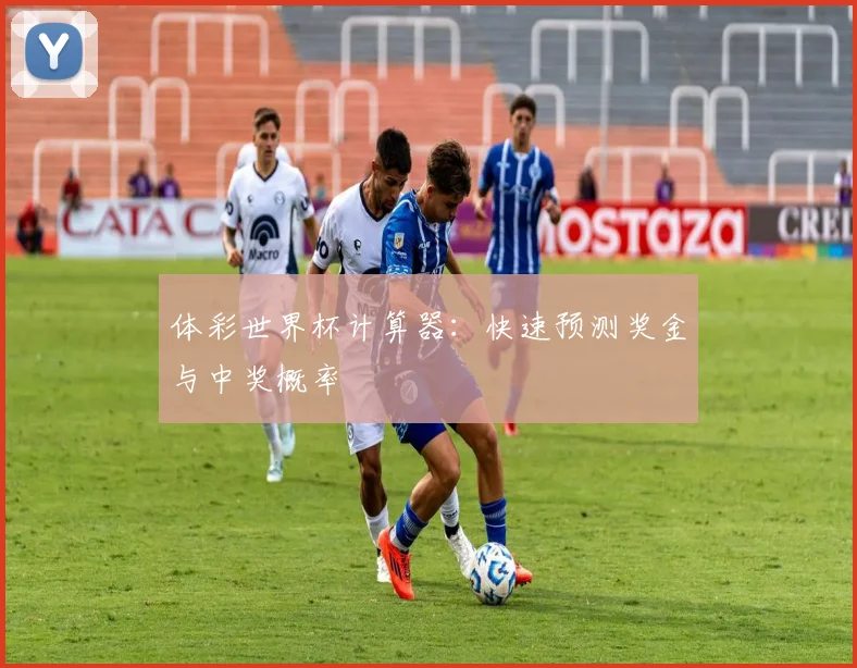 体彩世界杯计算器：快速预测奖金与中奖概率