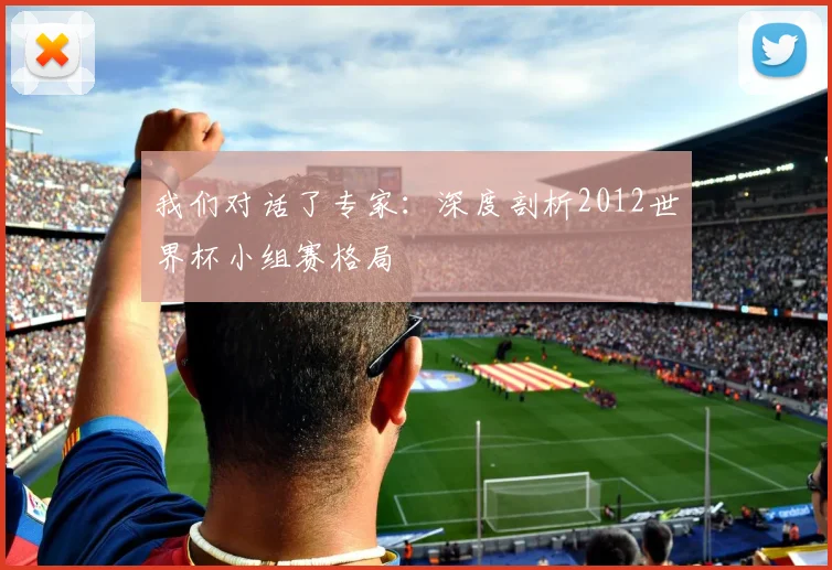我们对话了专家：深度剖析2012世界杯小组赛格局