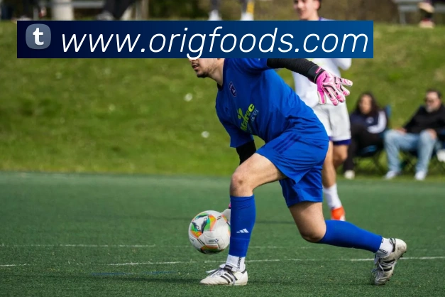 九游在线网页官网平台生态图