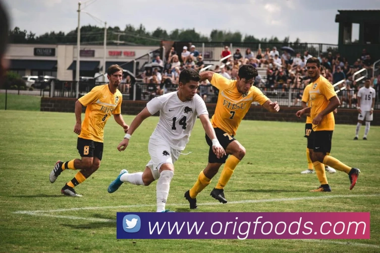 九游在线网页官网全站App 九游在线网页官网全站App